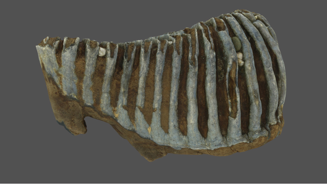 03mammut.jpg